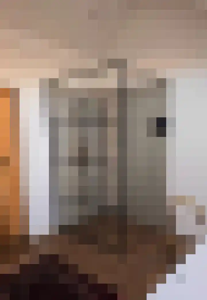 Overstraat 21 Munstergeleen thumbnail 31