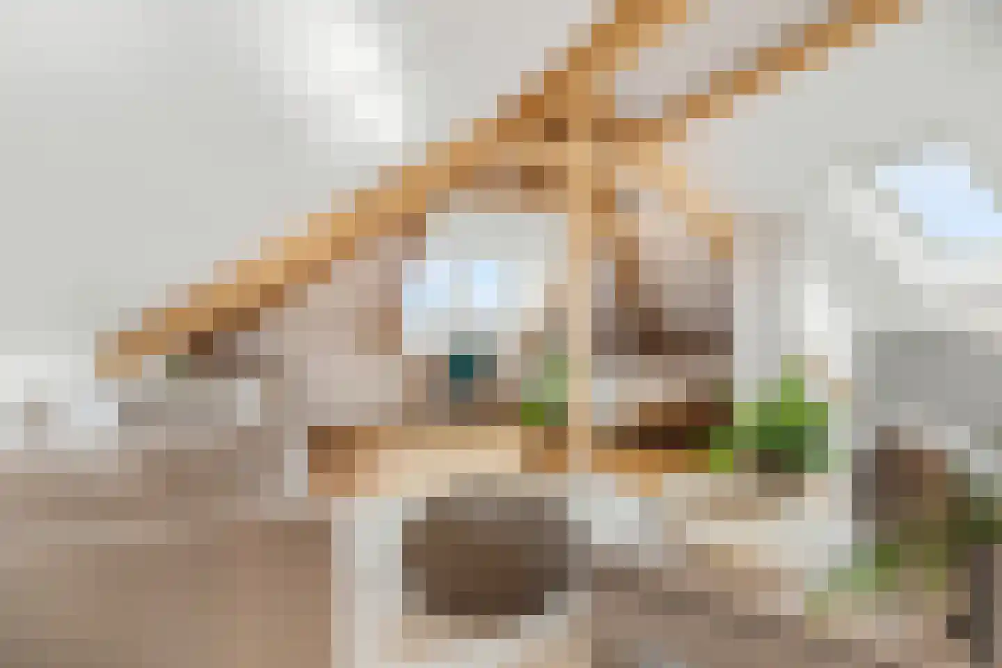 Overstraat 34 Amerongen thumbnail 39