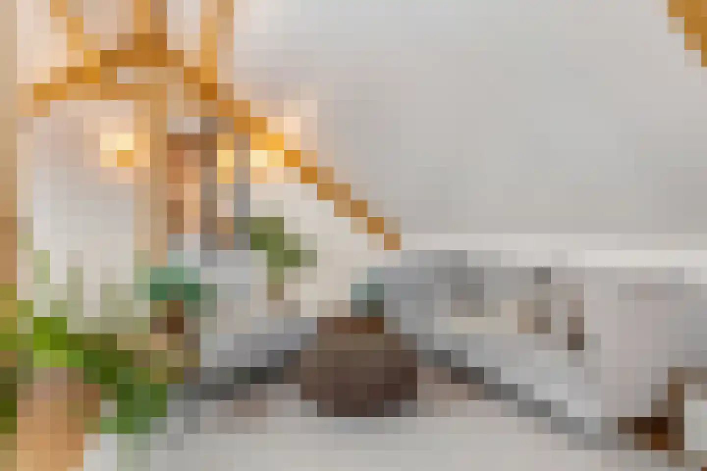 Overstraat 34 Amerongen thumbnail 43