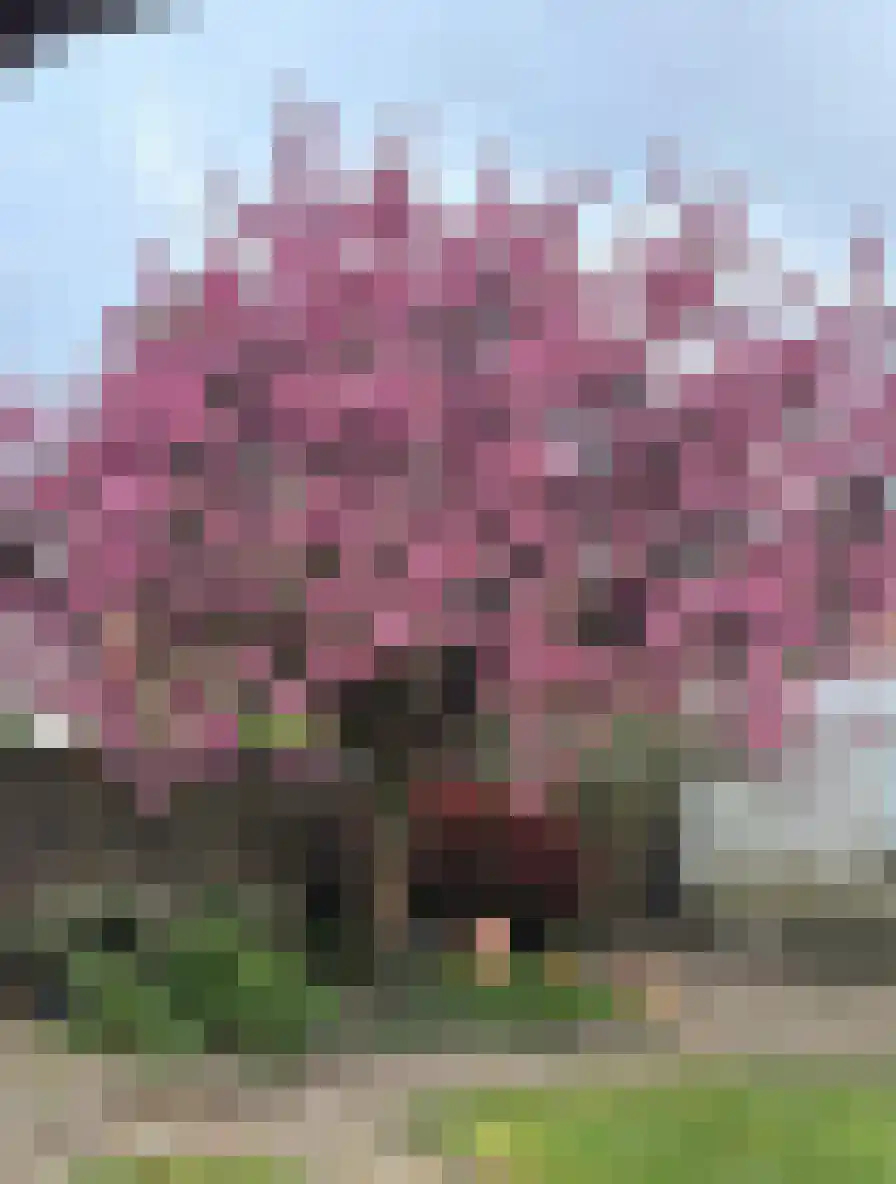Overstraat 34 Amerongen thumbnail 51