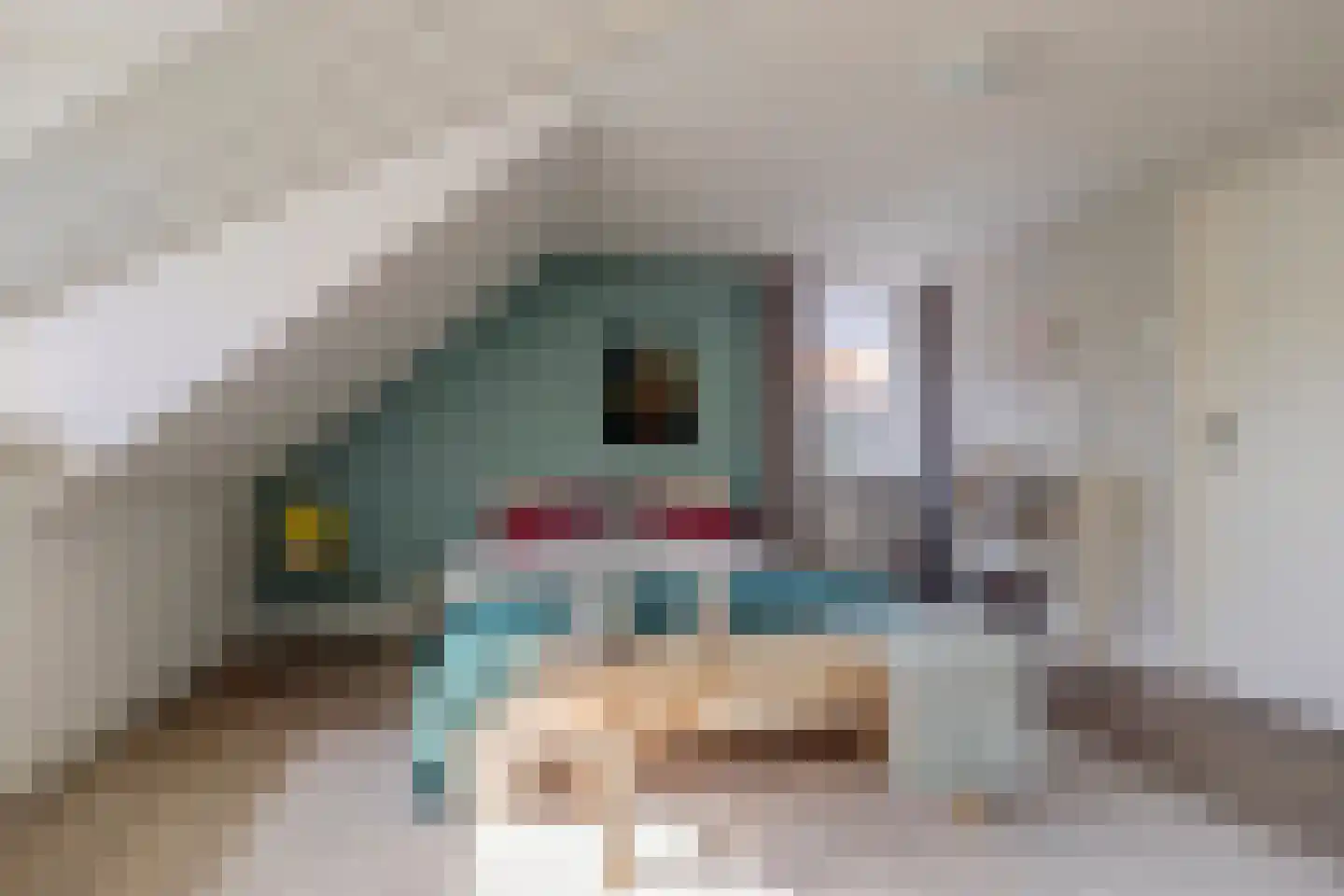 Overstraat 43 a Amerongen thumbnail 29