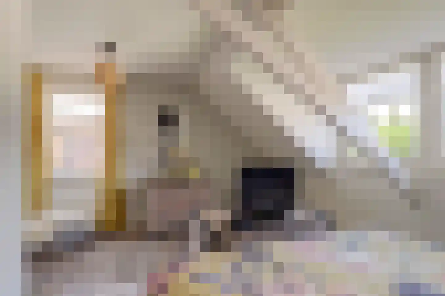 Overstraat 43 a Amerongen thumbnail 31