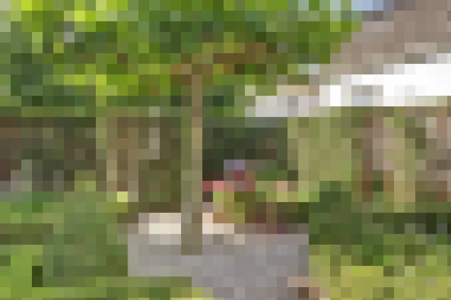 Overstraat 43 a Amerongen thumbnail 45