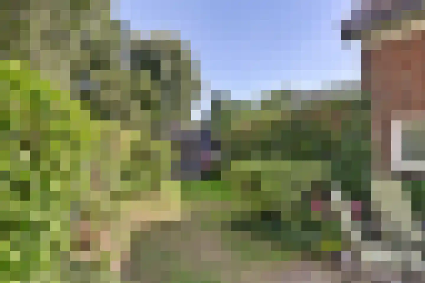 Overstraat 43 a Amerongen thumbnail 48