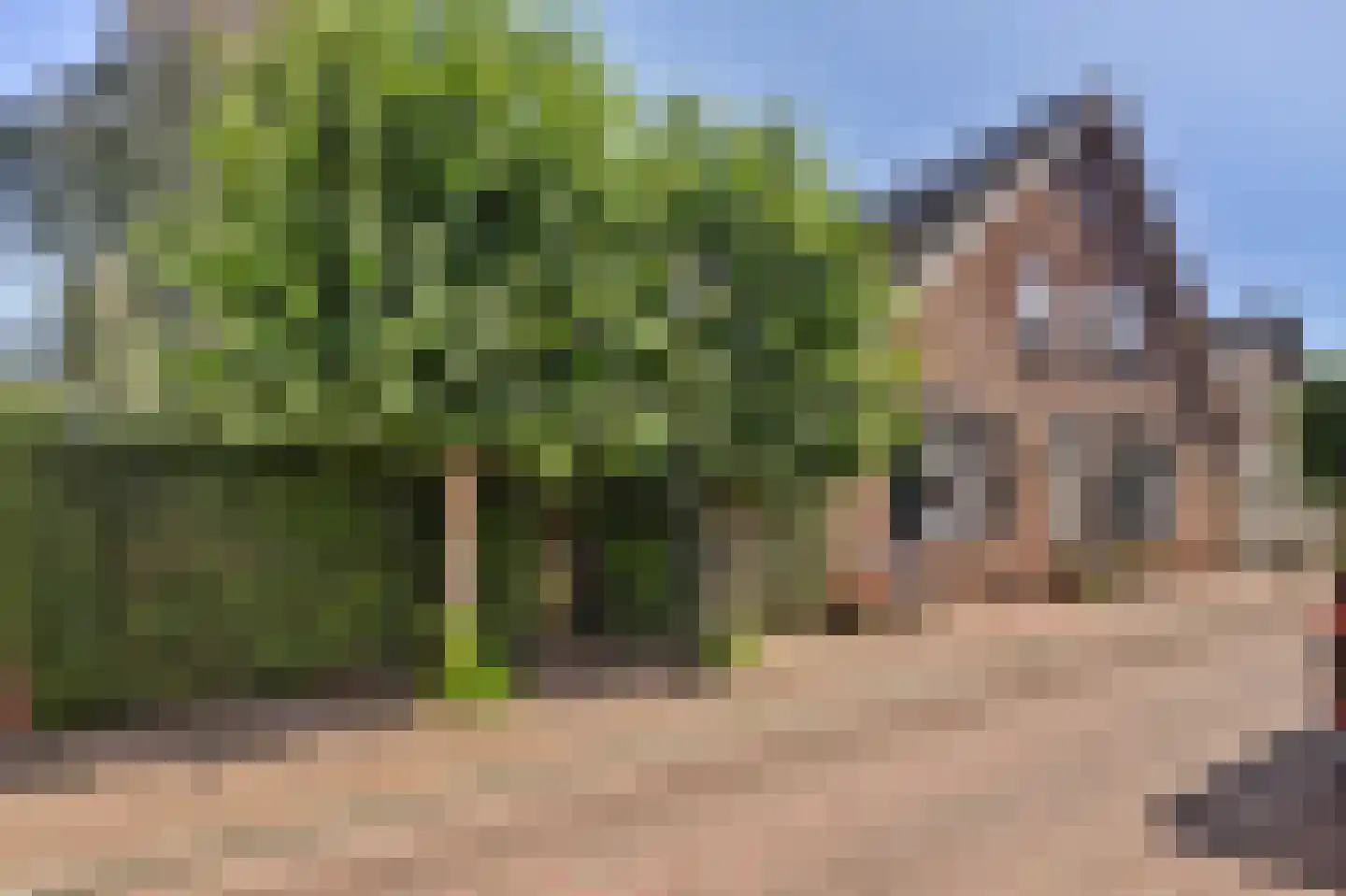 Overstraat 43 a Amerongen thumbnail 7
