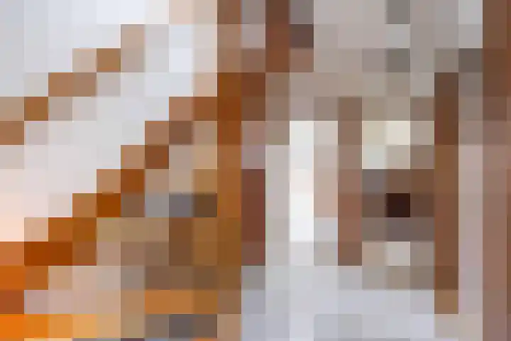 Overtocht 1 Winsum thumbnail 13