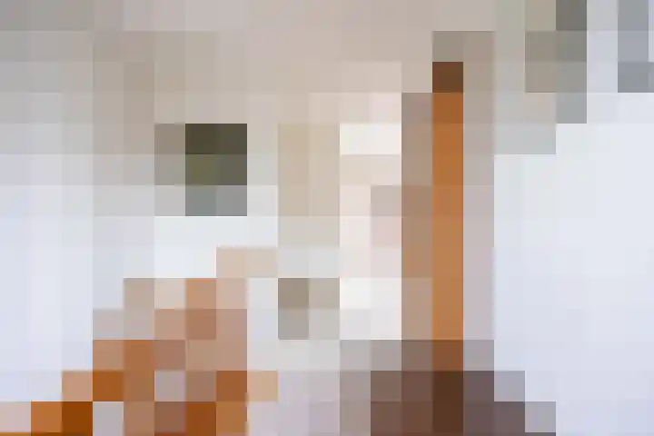 Overtocht 1 Winsum thumbnail 29