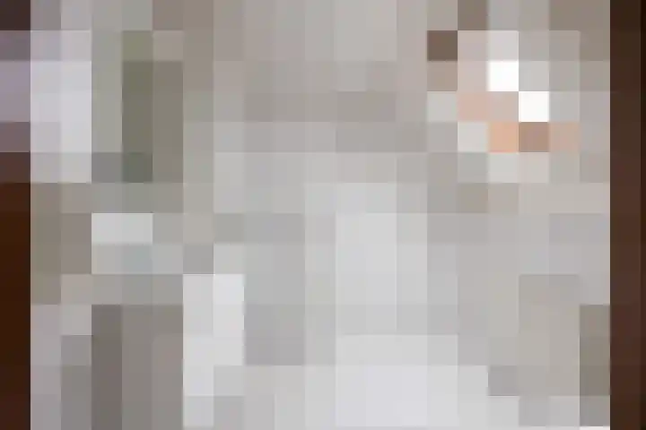 Overtocht 1 Winsum thumbnail 36