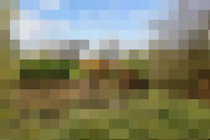 Overtocht 1 Winsum thumbnail 4