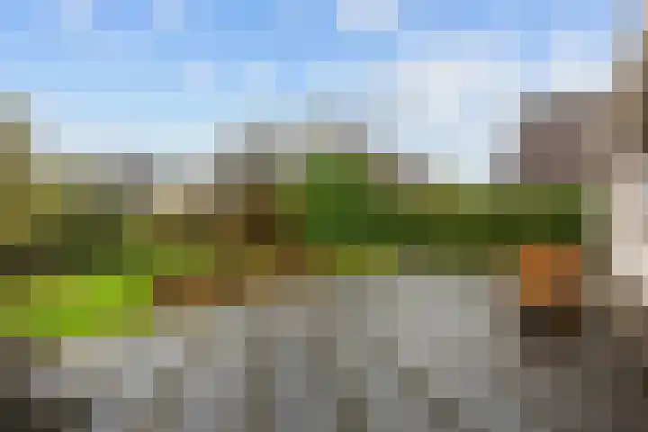 Overtocht 1 Winsum thumbnail 5