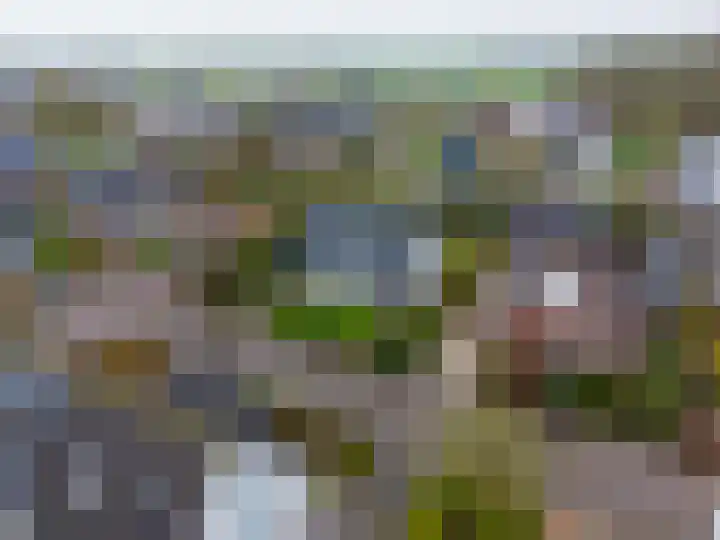 Overtocht 1 Winsum thumbnail 7