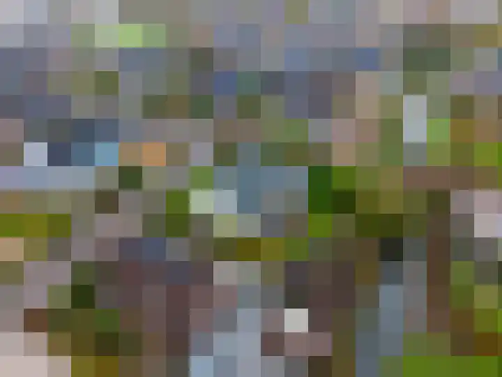 Overtocht 1 Winsum thumbnail 8