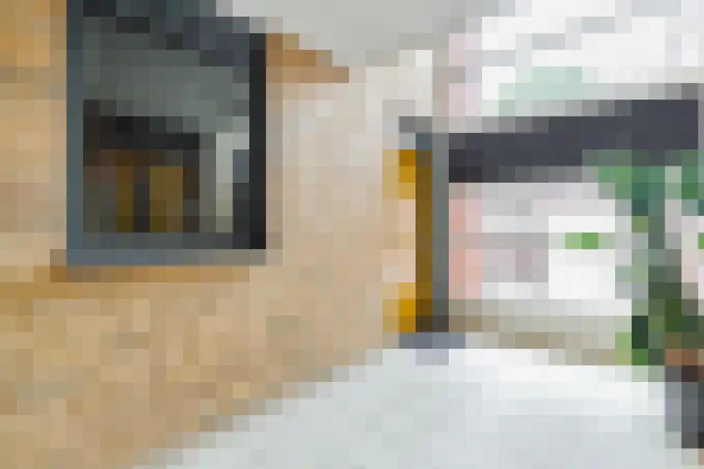 Overtocht 11 Bodegraven thumbnail 8