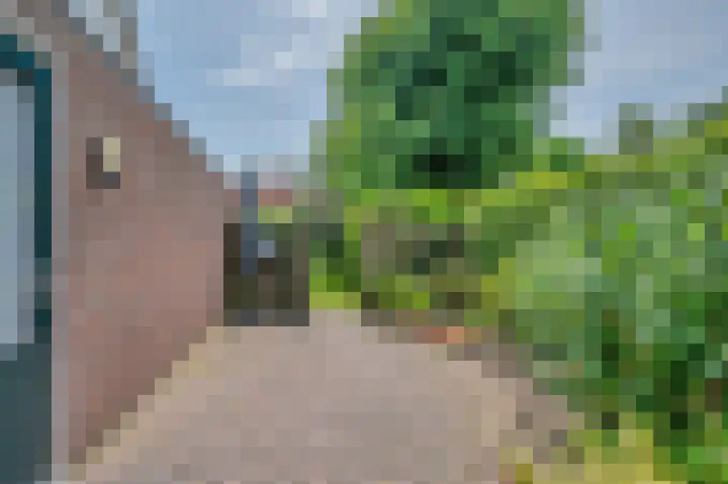 Overtocht 20 Winsum thumbnail 51