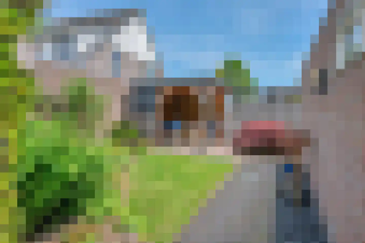 Overtocht 20 Winsum thumbnail 53