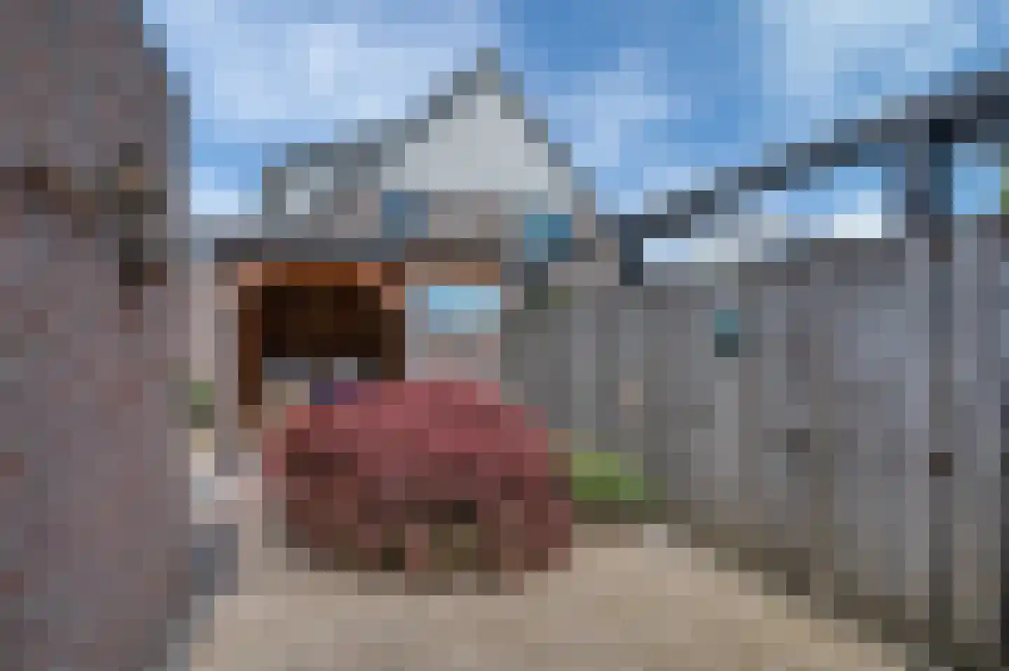Overtocht 20 Winsum thumbnail 56