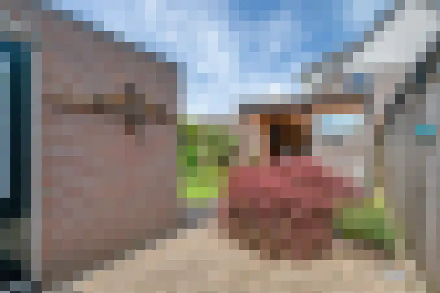 Overtocht 20 Winsum thumbnail 57