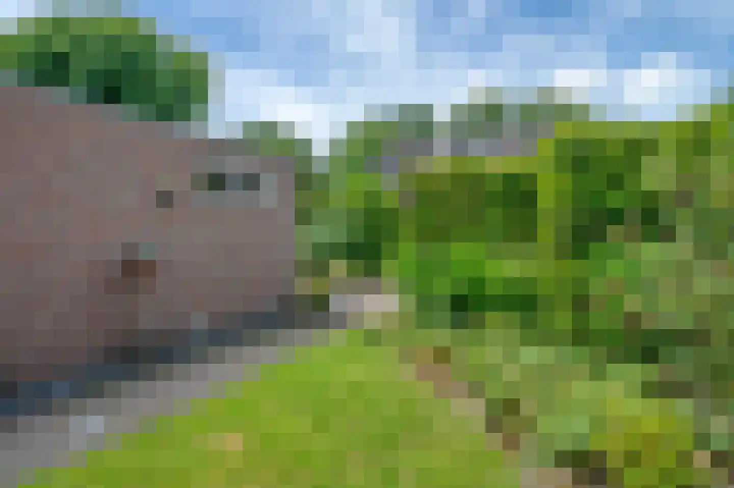 Overtocht 20 Winsum thumbnail 60