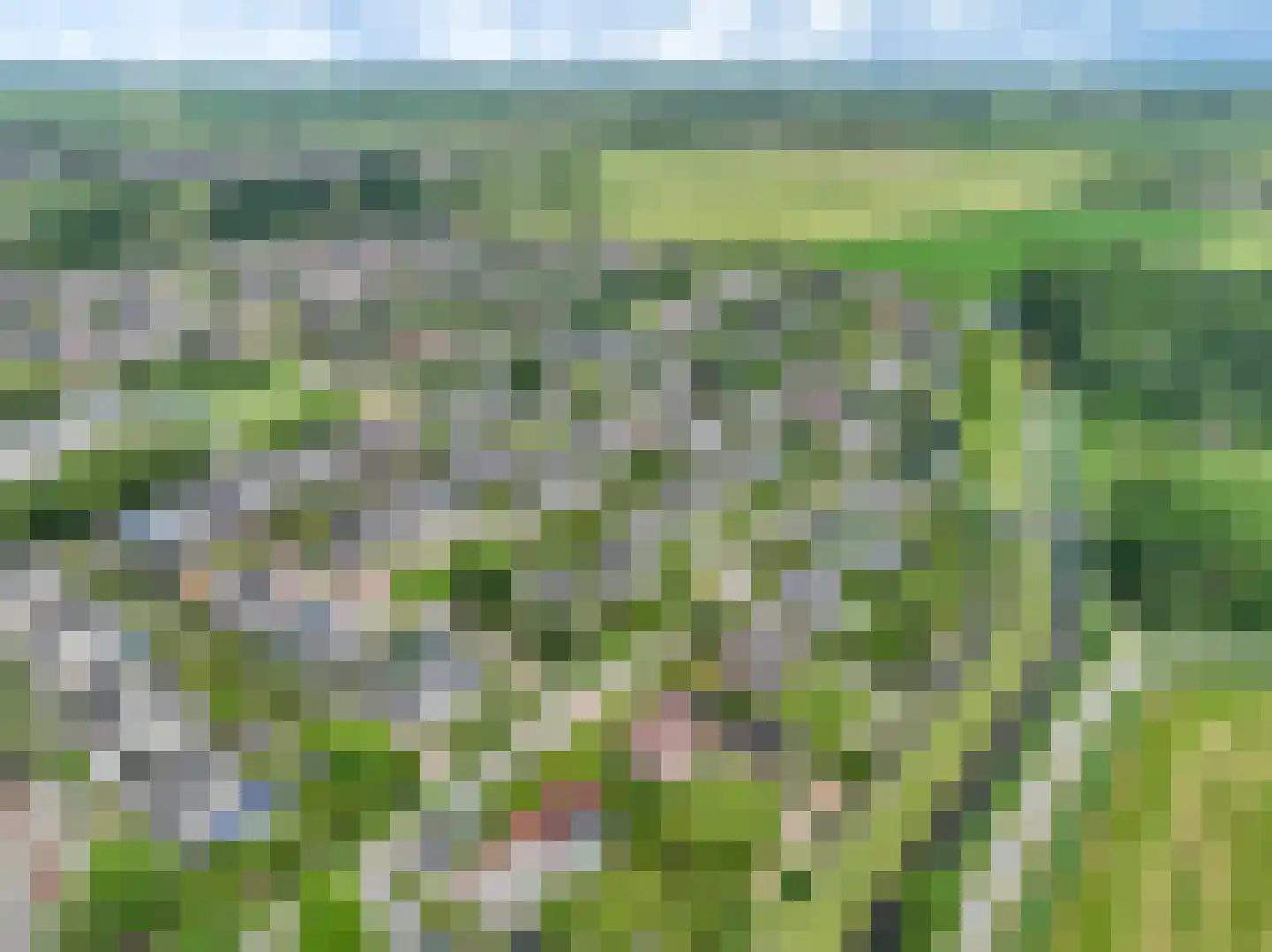Overtocht 20 Winsum thumbnail 63