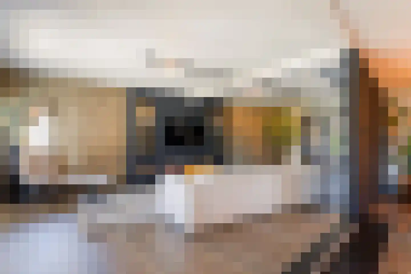 Overtocht 21 Bodegraven thumbnail 12