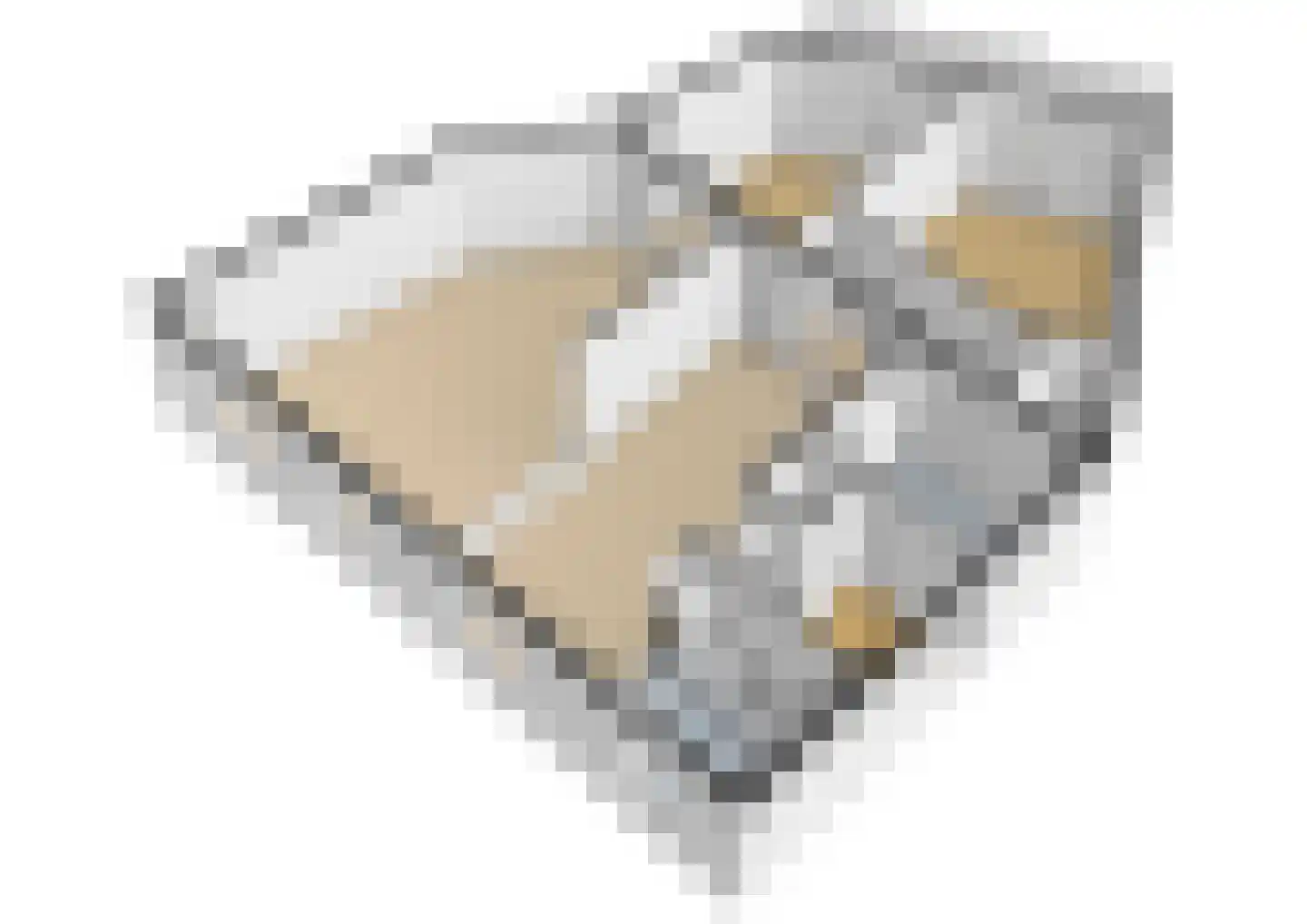 Overtocht 21 Bodegraven thumbnail 64