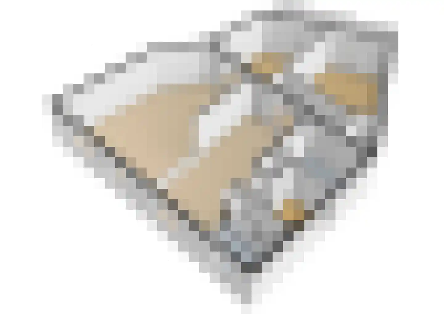 Overtocht 21 Bodegraven thumbnail 64