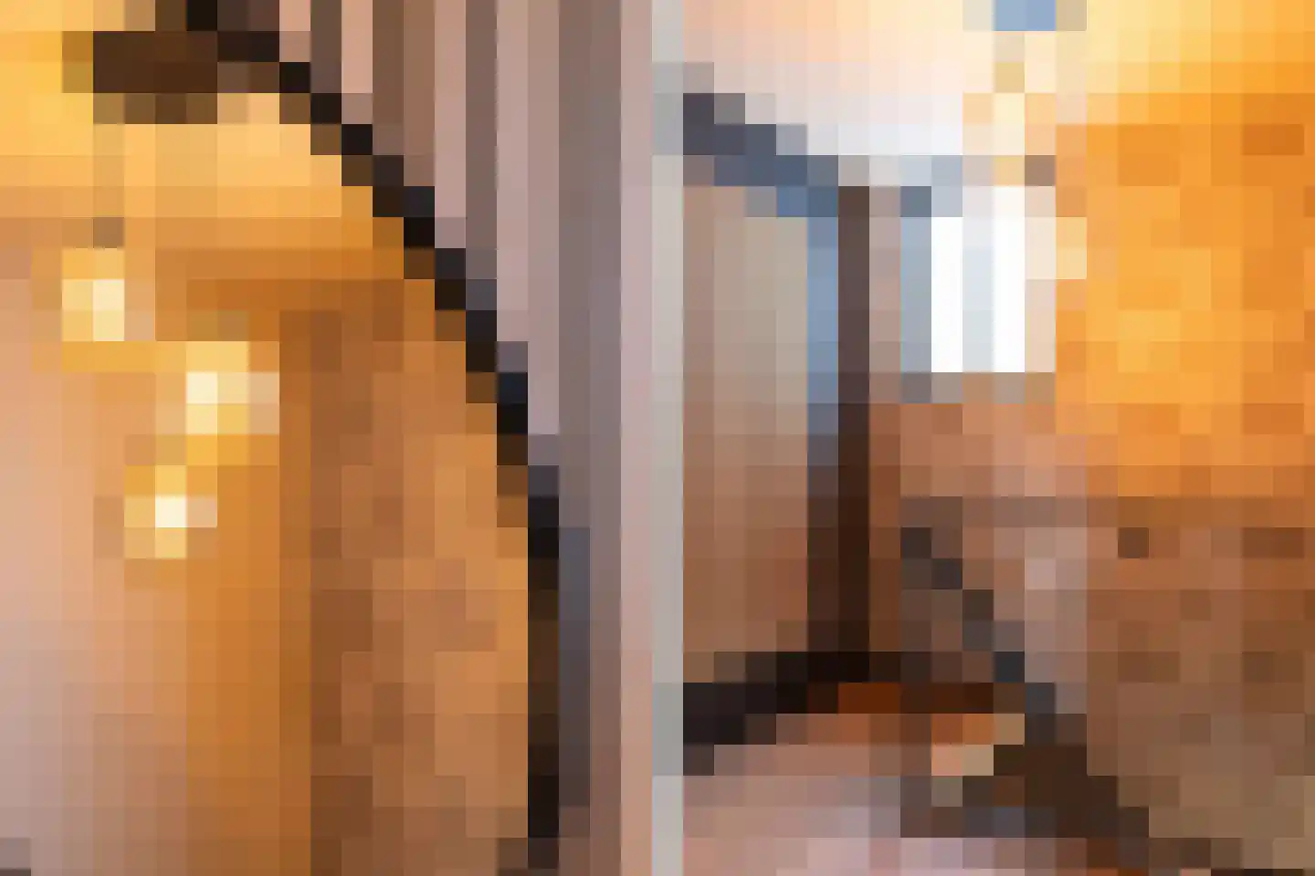 Overtocht 21 Bodegraven thumbnail 8