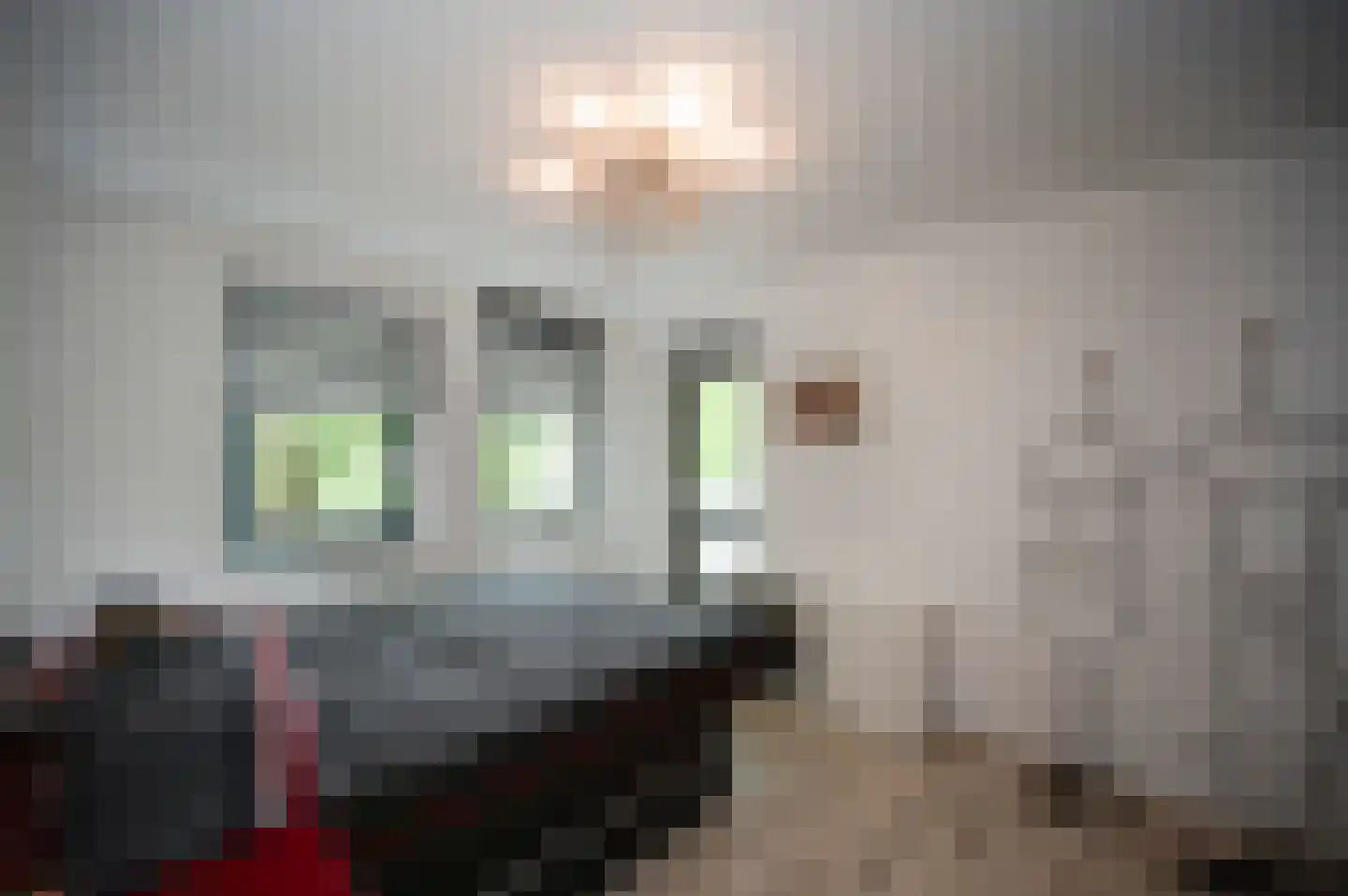 Overtocht 24 Bodegraven thumbnail 20