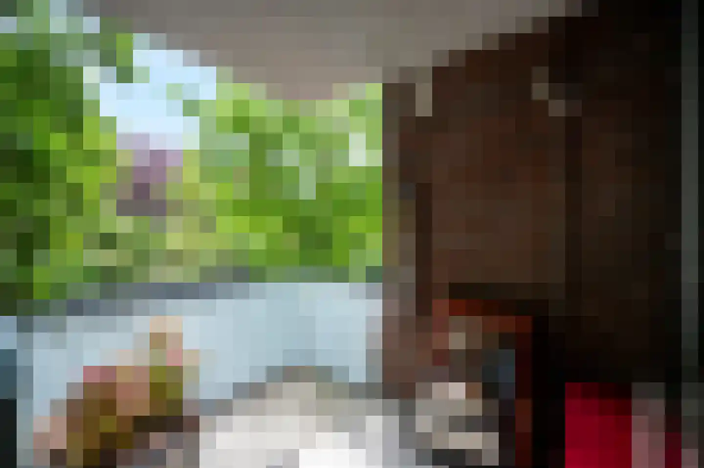 Overtocht 24 Bodegraven thumbnail 22