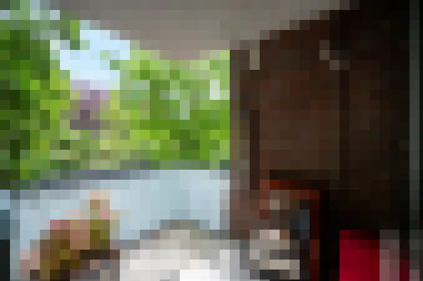 Overtocht 24 Bodegraven thumbnail 5