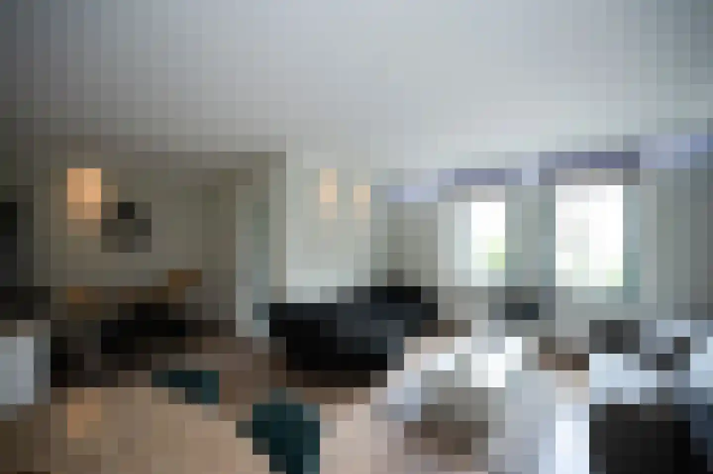 Overtocht 24 Bodegraven thumbnail 8