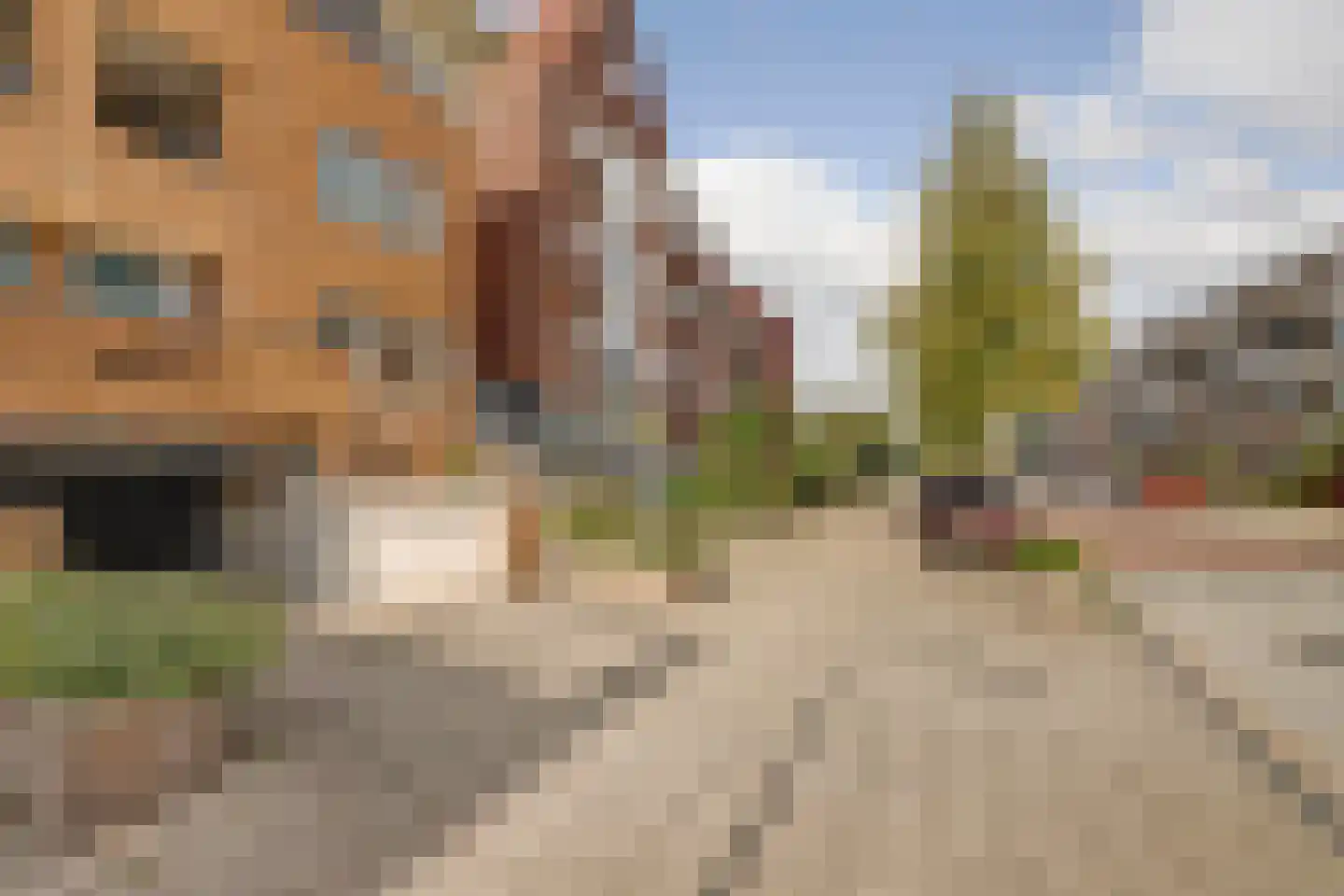 Overtocht 28 b Bodegraven thumbnail 9