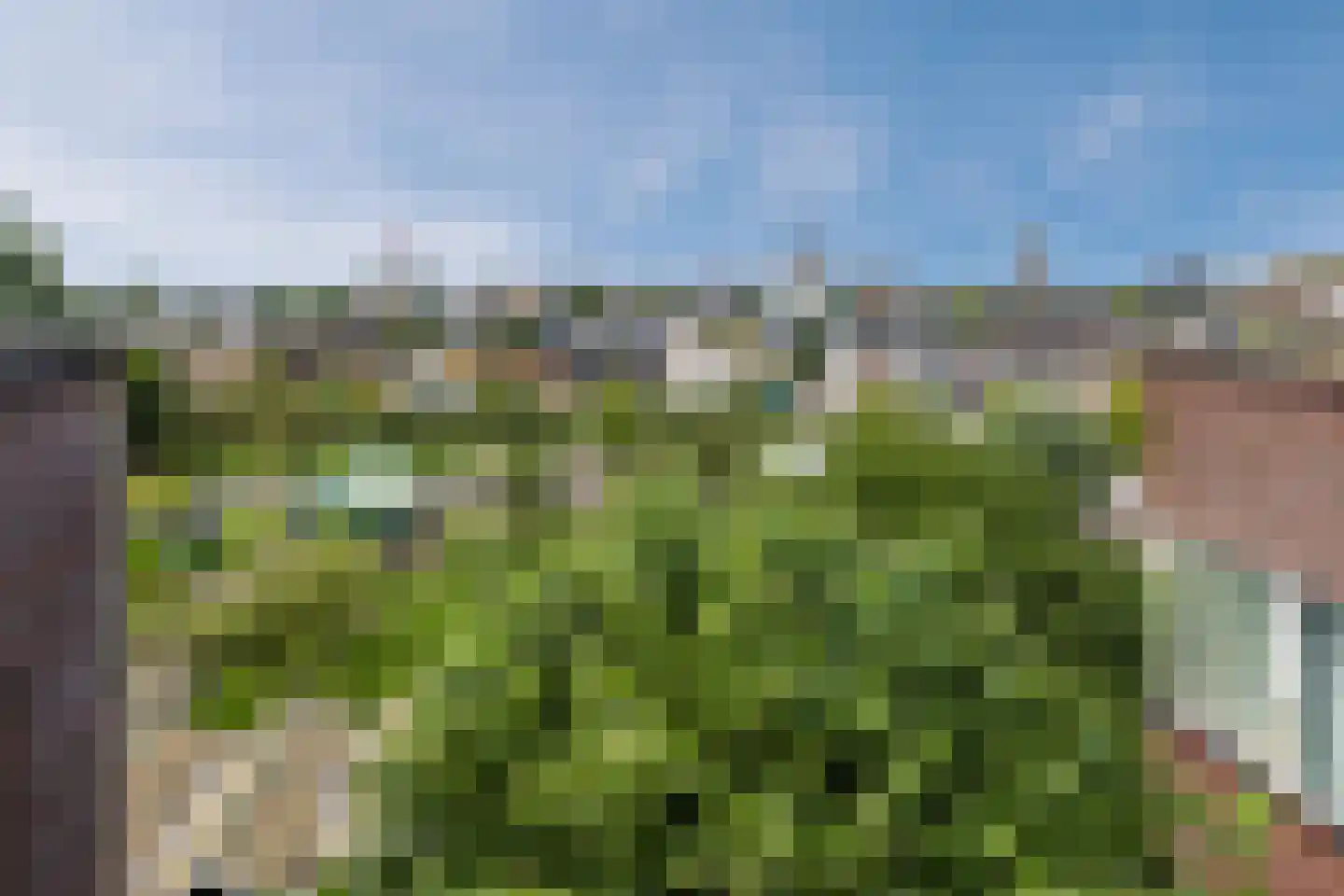 Overtocht 28 f Bodegraven thumbnail 42