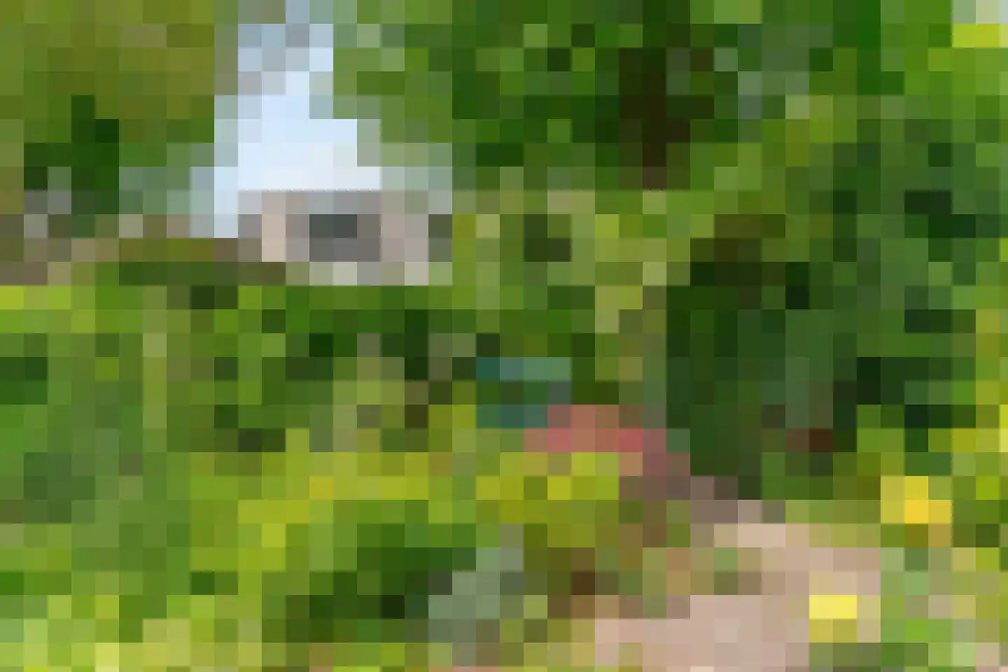 Overtocht 29 Leiderdorp thumbnail 31