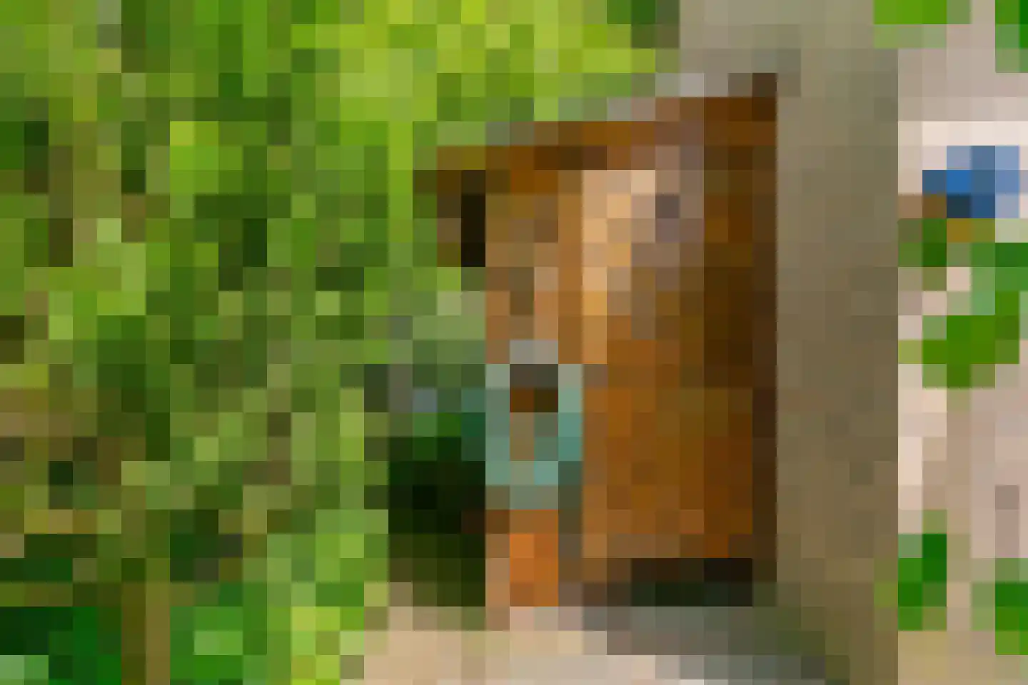 Overtocht 29 Leiderdorp thumbnail 33