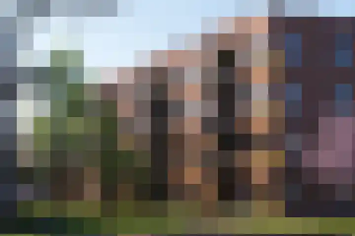 Overtocht 54 Bodegraven thumbnail 7