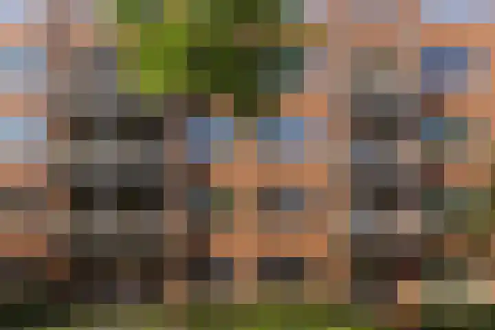 Overtocht 54 Bodegraven thumbnail 8