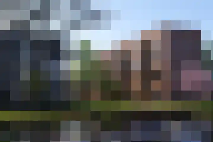 Overtocht 54 Bodegraven thumbnail 9