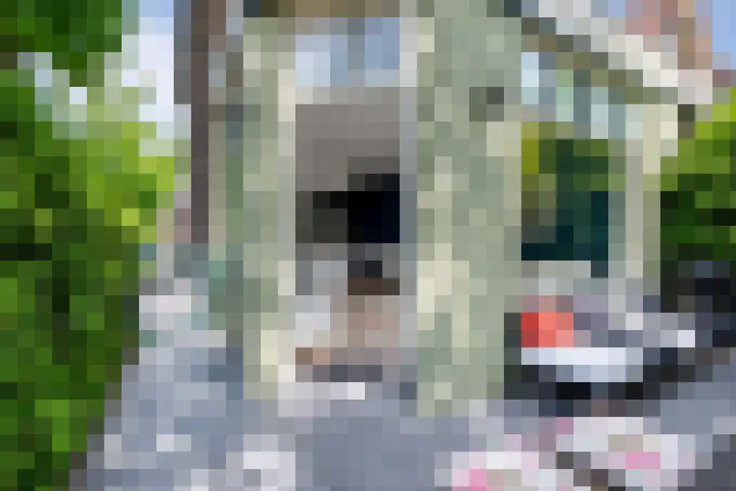 Overtonstraat 2 A Haarlem thumbnail 13