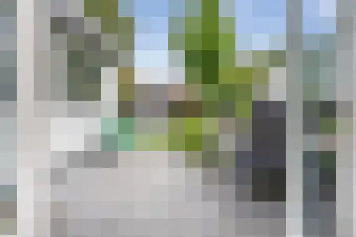 Overtonstraat 24 Haarlem thumbnail 17