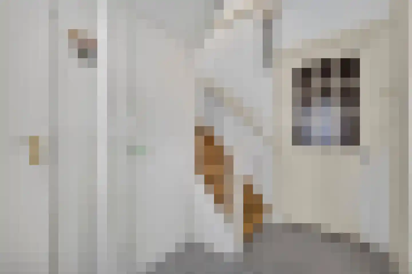 Overtonweg 12 Haarlem thumbnail 14