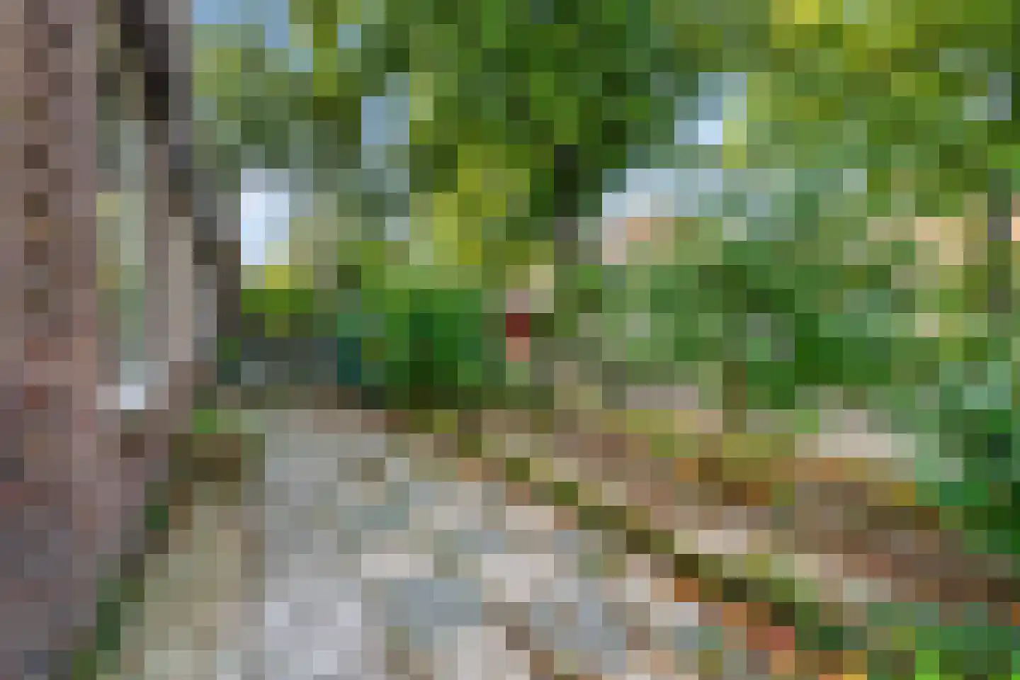 Overtonweg 12 Haarlem thumbnail 38