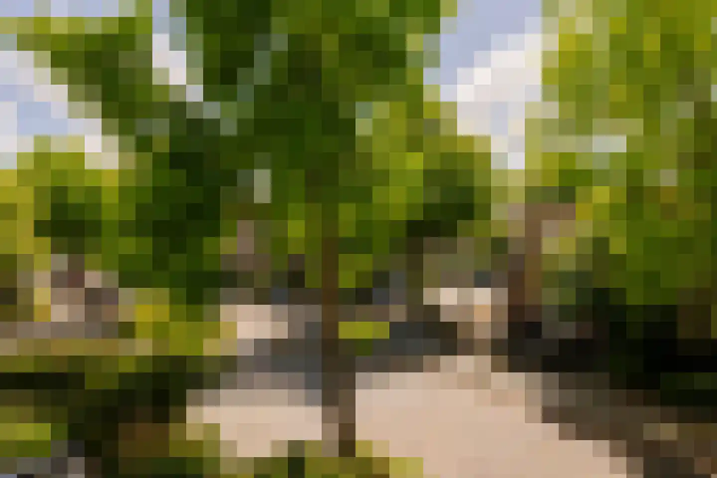Overtonweg 7 Haarlem thumbnail 30