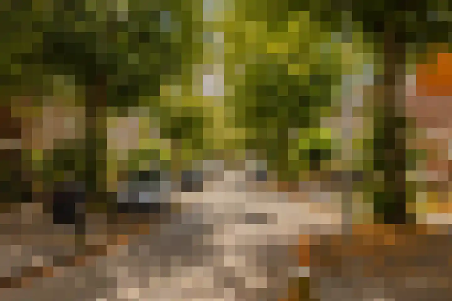 Overtonweg 7 Haarlem thumbnail 53
