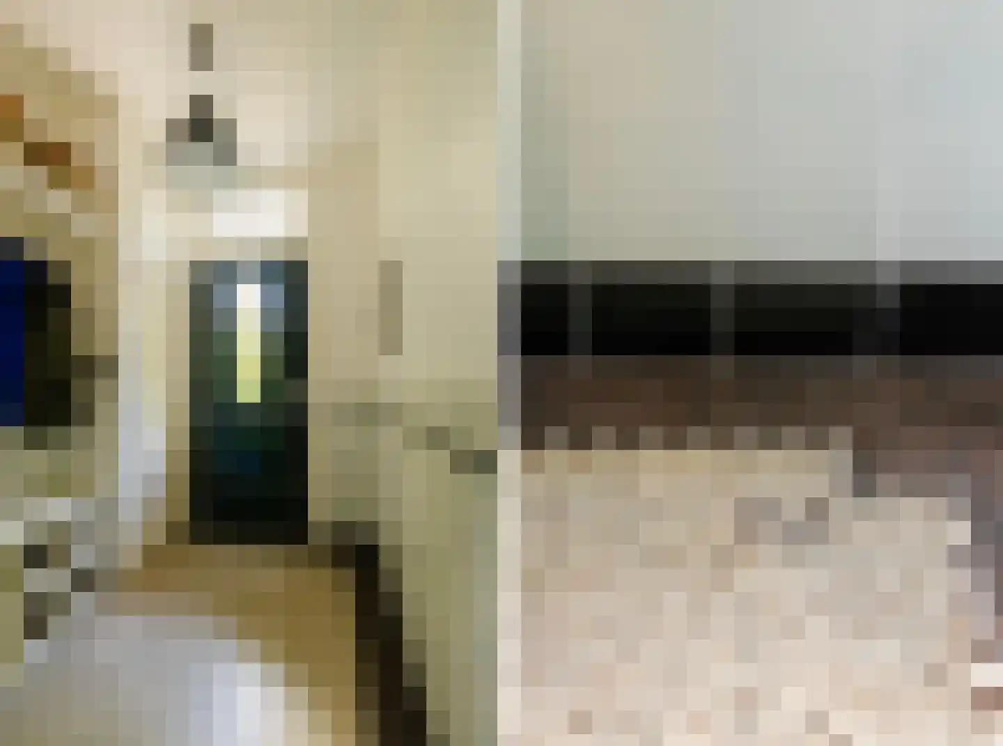 Overtonweg 7 Haarlem thumbnail 6