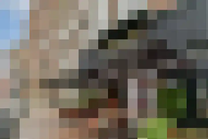 Overtoom 10 A Amsterdam thumbnail 14