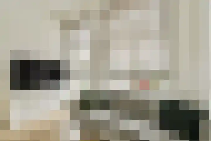 Overtoom 10 A Amsterdam thumbnail 5