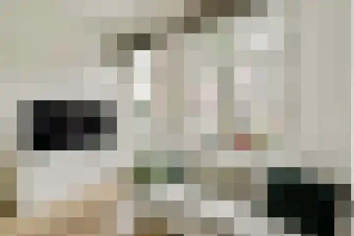 Overtoom 10 A Amsterdam thumbnail 6