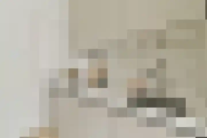 Overtoom 10 A Amsterdam thumbnail 9
