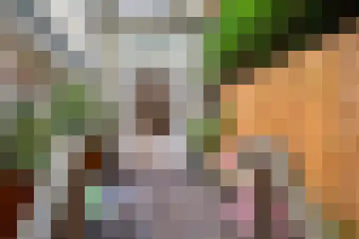 Overtoom 10 B Amsterdam thumbnail 30